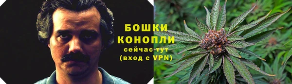 apvp Арсеньев