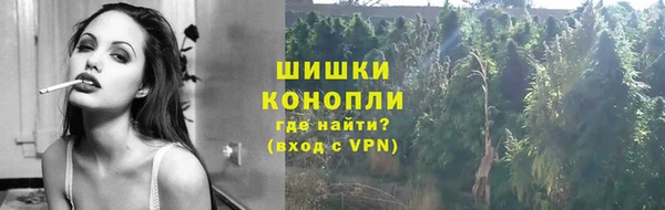 apvp Арсеньев