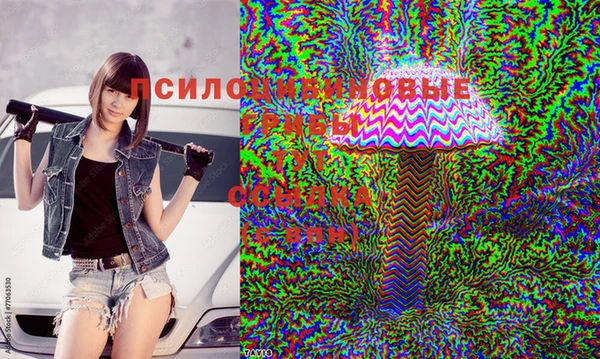 apvp Арсеньев